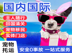 朔州滋润机场物流国际宠物托运 【国
